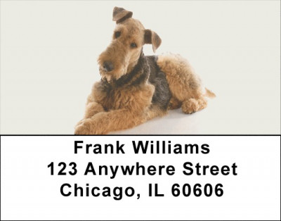 Airedale Terrier Address Labels | LBDOG-89