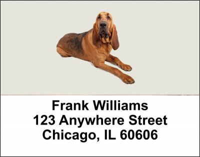 Blood Hound Address Labels | LBDOG-94