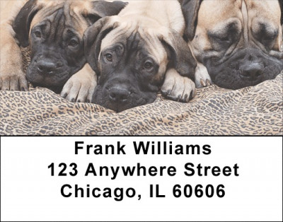Bullmastiff Address Labels | LBDOG-97