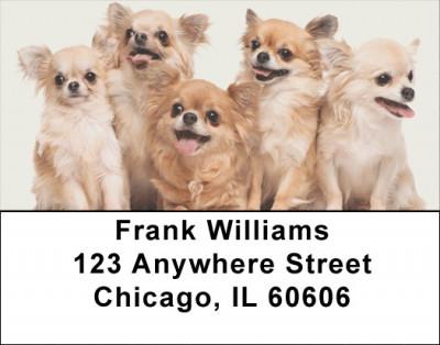 Lovable Chihuahuas Address Labels | LBDOG-99