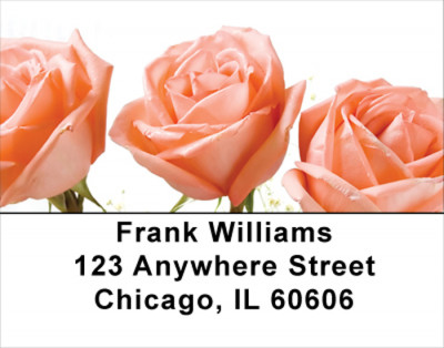 Spring Rose Bouquet Address Labels | LBFLO-41