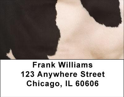 Holy Cow Address Labels | LBGEO-71