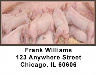 Pig Address Labels | LBJUR-05