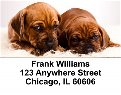 Puppy Love Address Labels | LBLOV-08