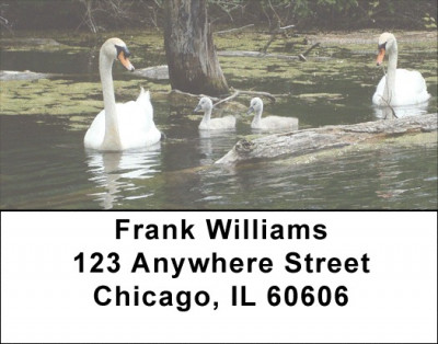 Around the Pond Address Labels | LBNAT-71
