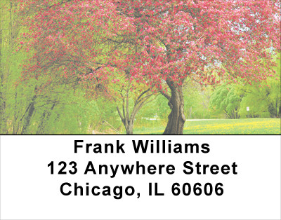 Trees In Springtime Address Labels | LBSCE-14