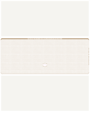 Tan Safety Blank High Security Middle Laser Checks | LMCHS-BLA-OS