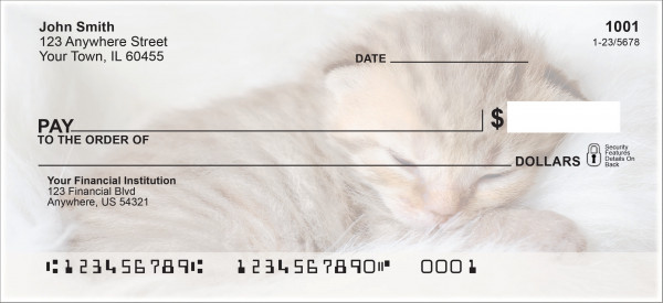 Sleepy Kittens Personal Checks
