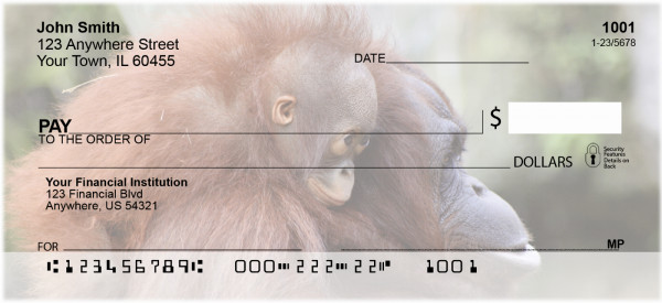 Baby Monkeys Personal Checks