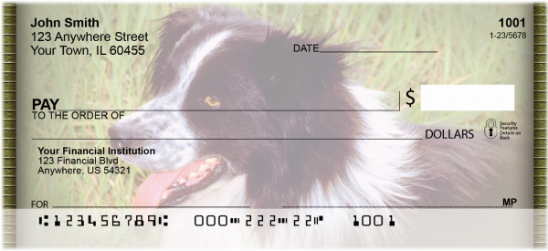 Border Collies Personal Checks | DOG-02