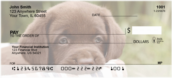 Chocolate Labradors Personal Checks