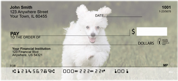 Mini Poodle Personal Checks