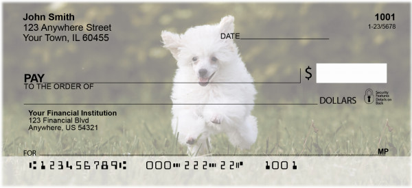 Mini Poodle Personal Checks