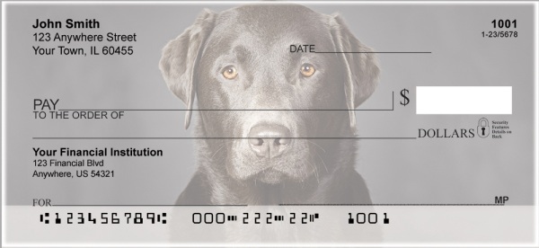 Black Labradors Personal Checks