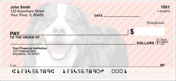 Bernese Mountain Dog Pups Keith Kimberlin Personal Checks