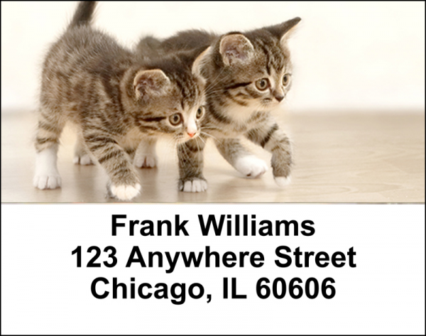 Cute Kittens Address Labels