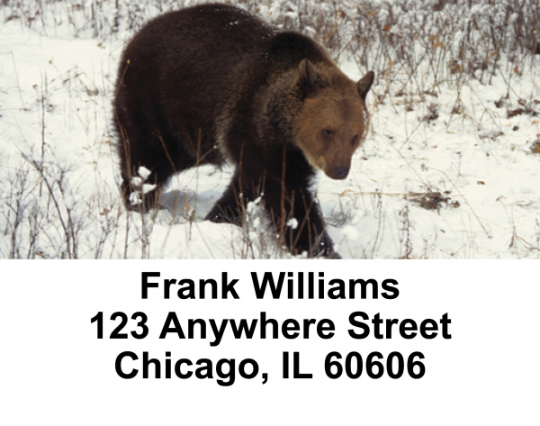 Bears In The Wild Address Labels