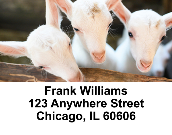 Goats Address Labels