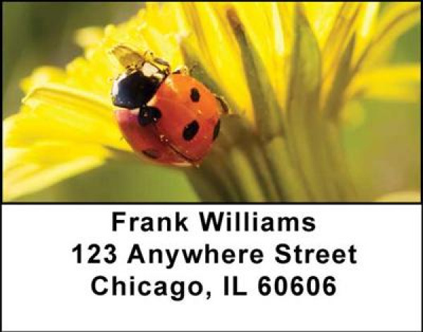 Ladybugs Address Labels