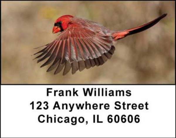 Cardinals Address Labels | LBANI-40