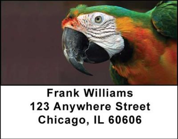 Parrots Address Labels