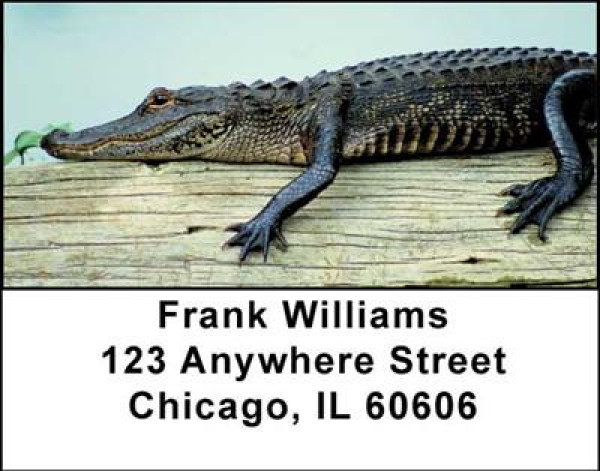 Alligators and Crocodiles Address Labels