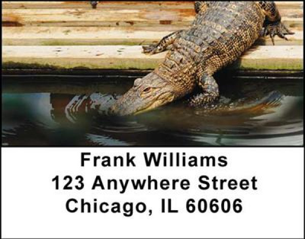Alligators And Crocodiles Address Labels