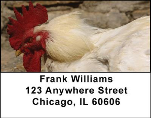 Chickens Address Labels