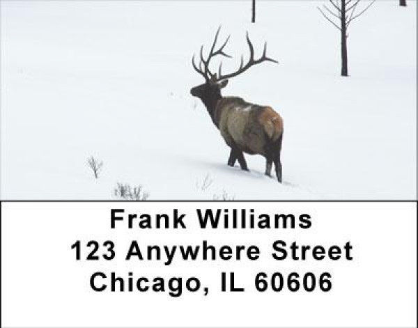 Elk Racks Address Labels | LBANI-71