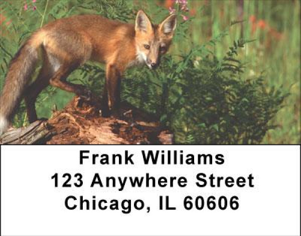Sly As A Fox Address Labels