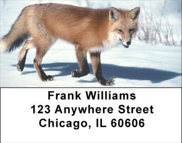 Sly As A Fox Address Labels