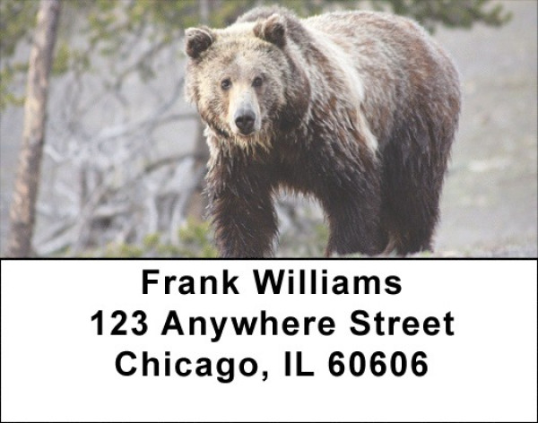 Grizzly Bears In The Wild Address Labels
