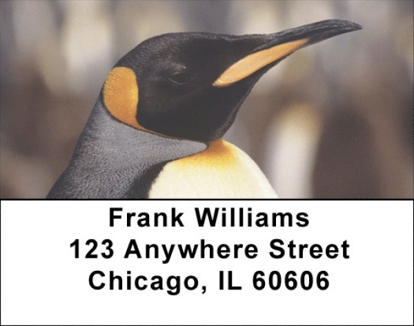 Penguins Address Labels