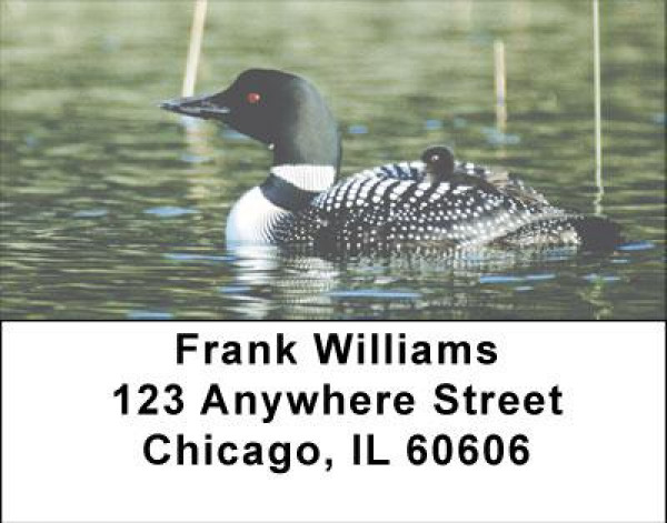 A Loon-ee Family Address Labels