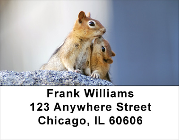 Baby Chipmunk With Mother Address Labels | LBANJ-25