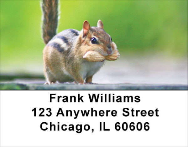 Chipmunks Everywhere Address Labels | LBANJ-27