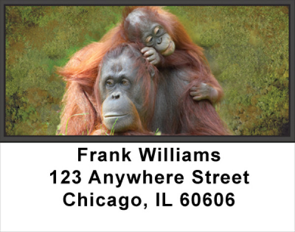 Orangutan Address Labels