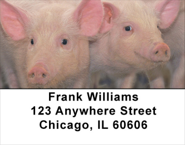 More Pig Address Labels