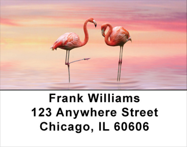 Pink Flamingo Address Labels