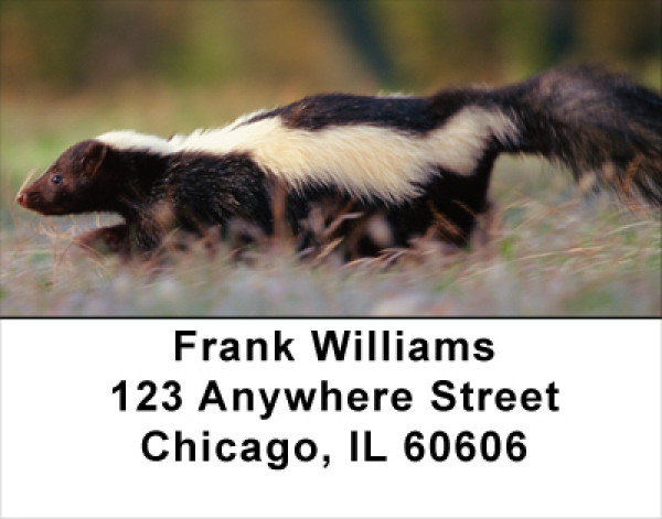 Skunk Address Labels