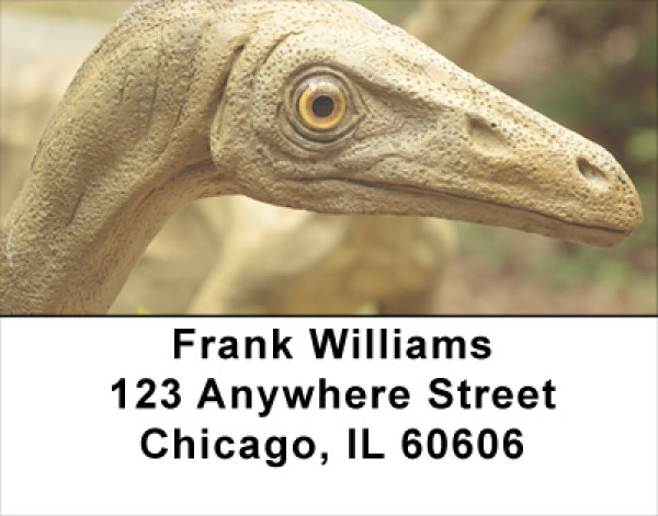 Dino Walk In The Park Address Labels
