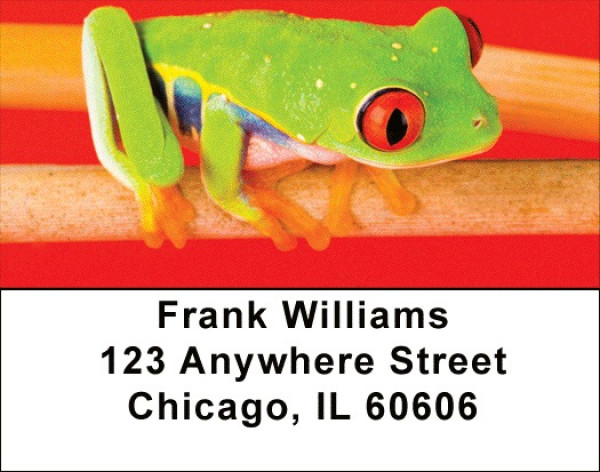 More Tree Frogs Address Labels