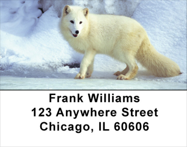 Fox In Winter Address Labels