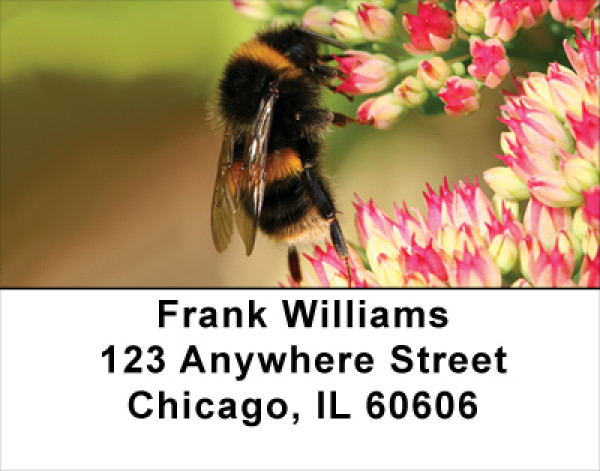 Bumble Bees Address Labels