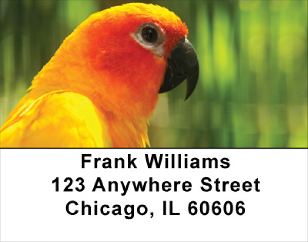 Parakeets On Parade Address Labels | LBANK-55