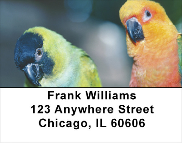 Parakeets On Parade Address Labels