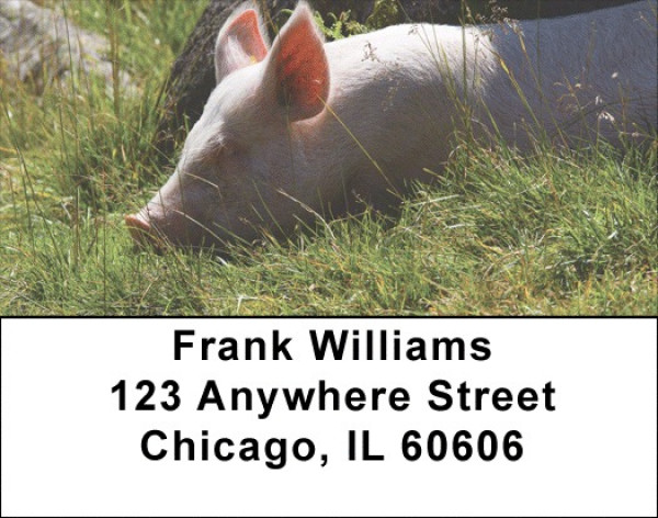 Down On The Farm Address Labels