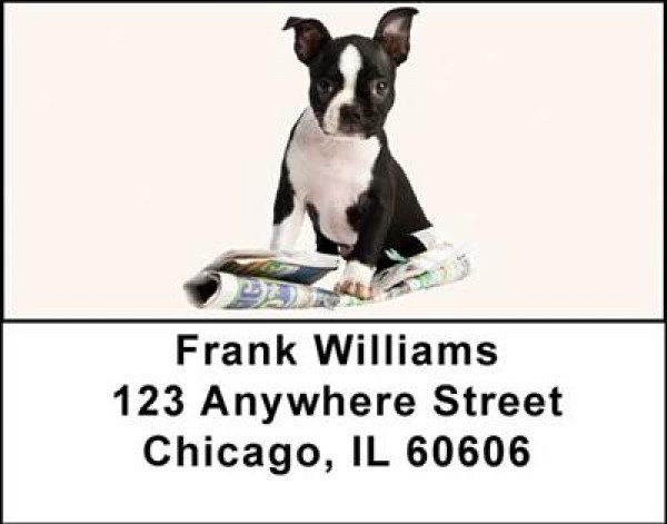 Boston Terrier Puppies Address Labels