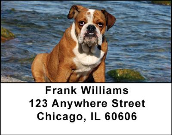 Fun With Bulldogs Address Labels