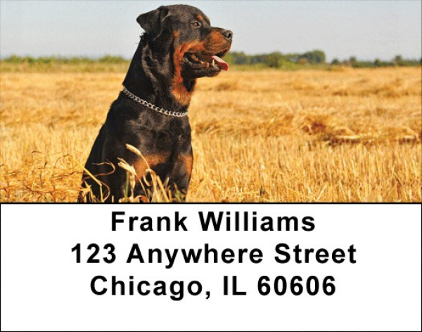 Rottweiler Address Labels